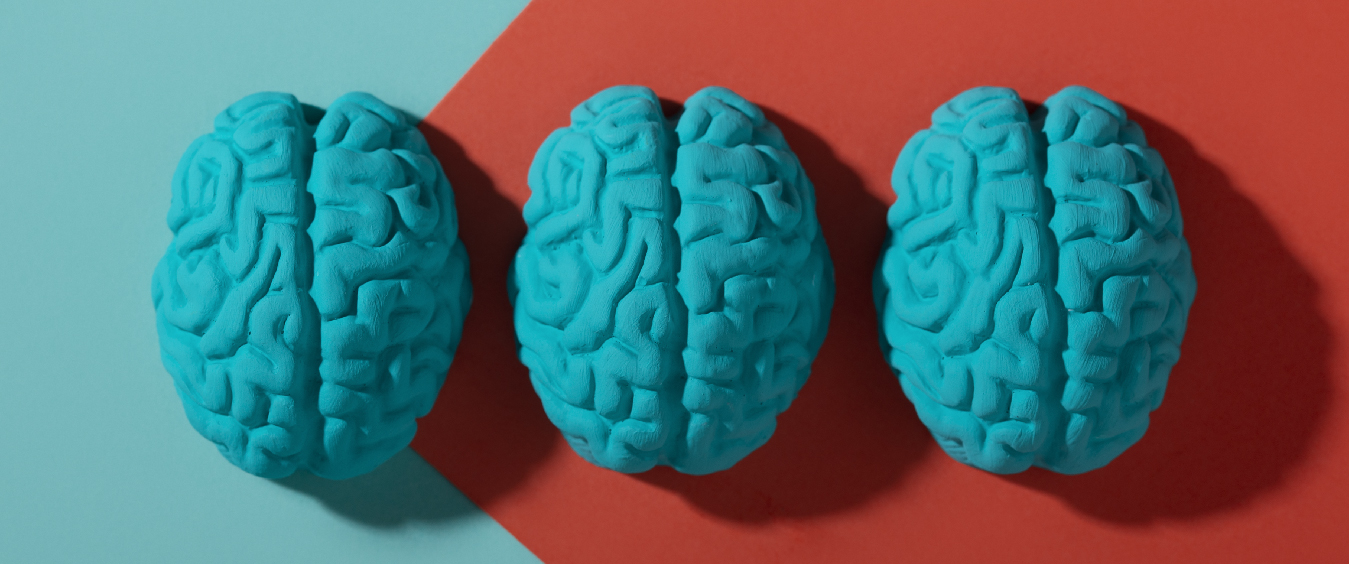 A dificuldade em tomar decisões e os três cérebros