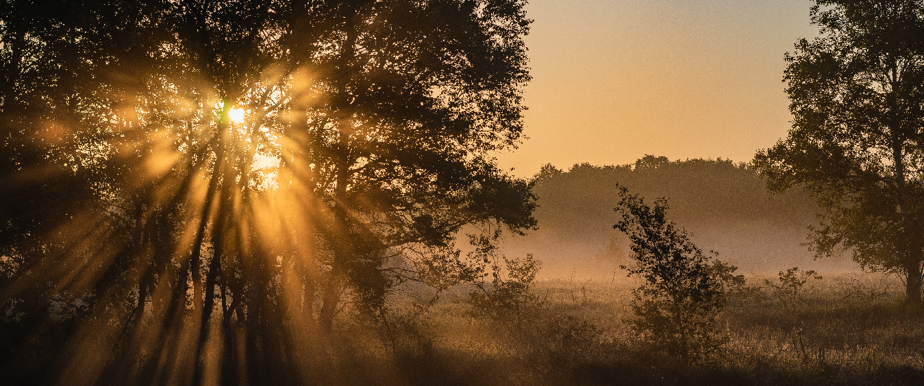 O que você vai fazer hoje?