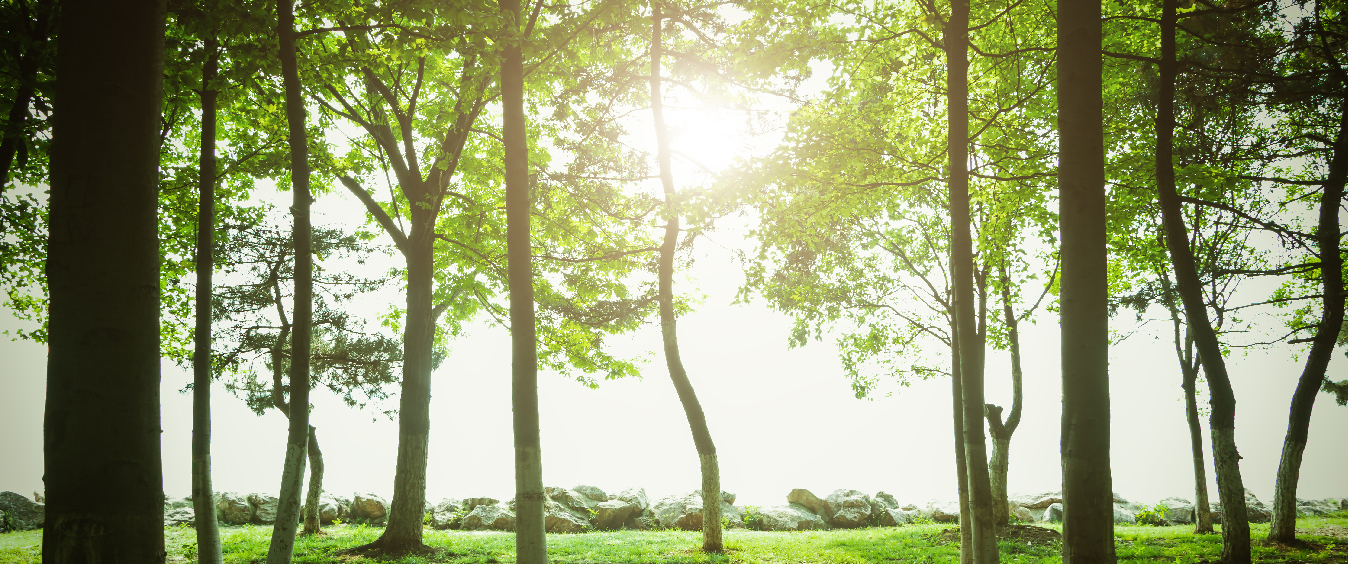 Ciclos da vida – Aprenda com cada um deles